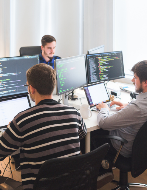 Software Development